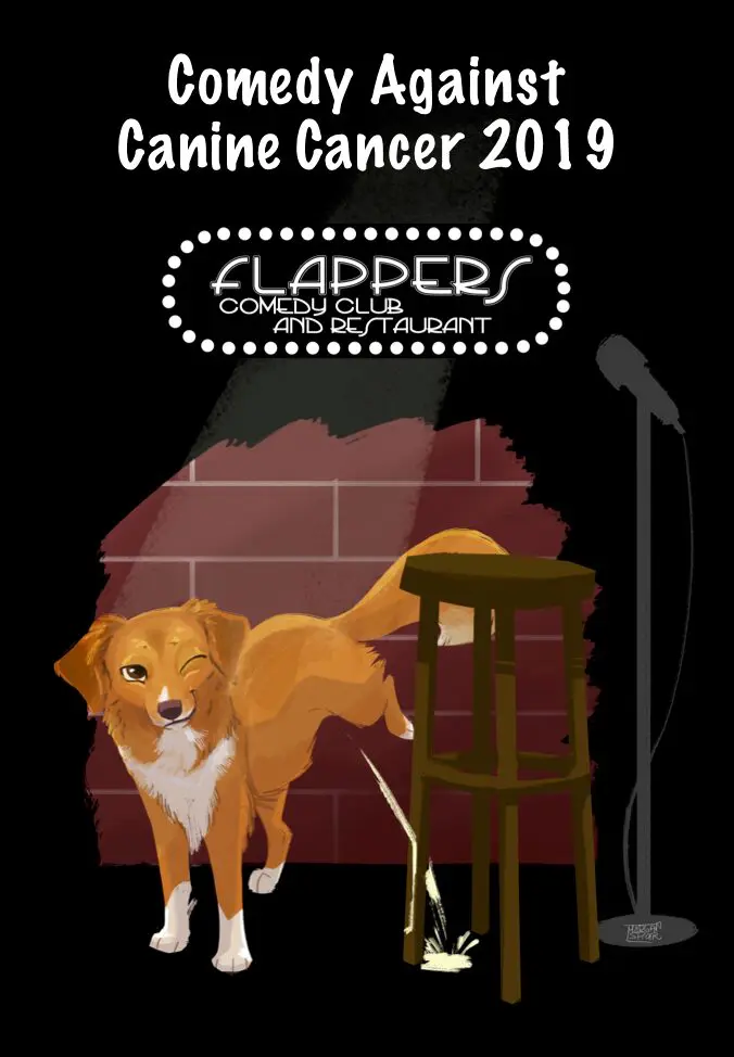 Winking dog beside microphone and stool