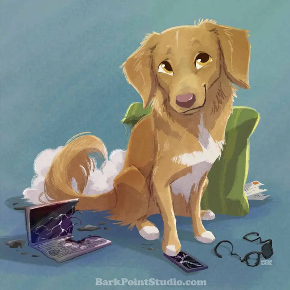 Cute dog with damaged items