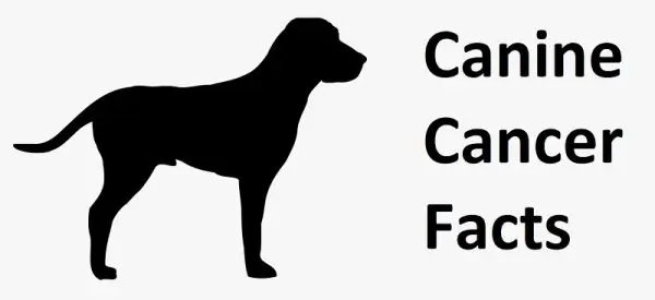 Canine health awareness graphic