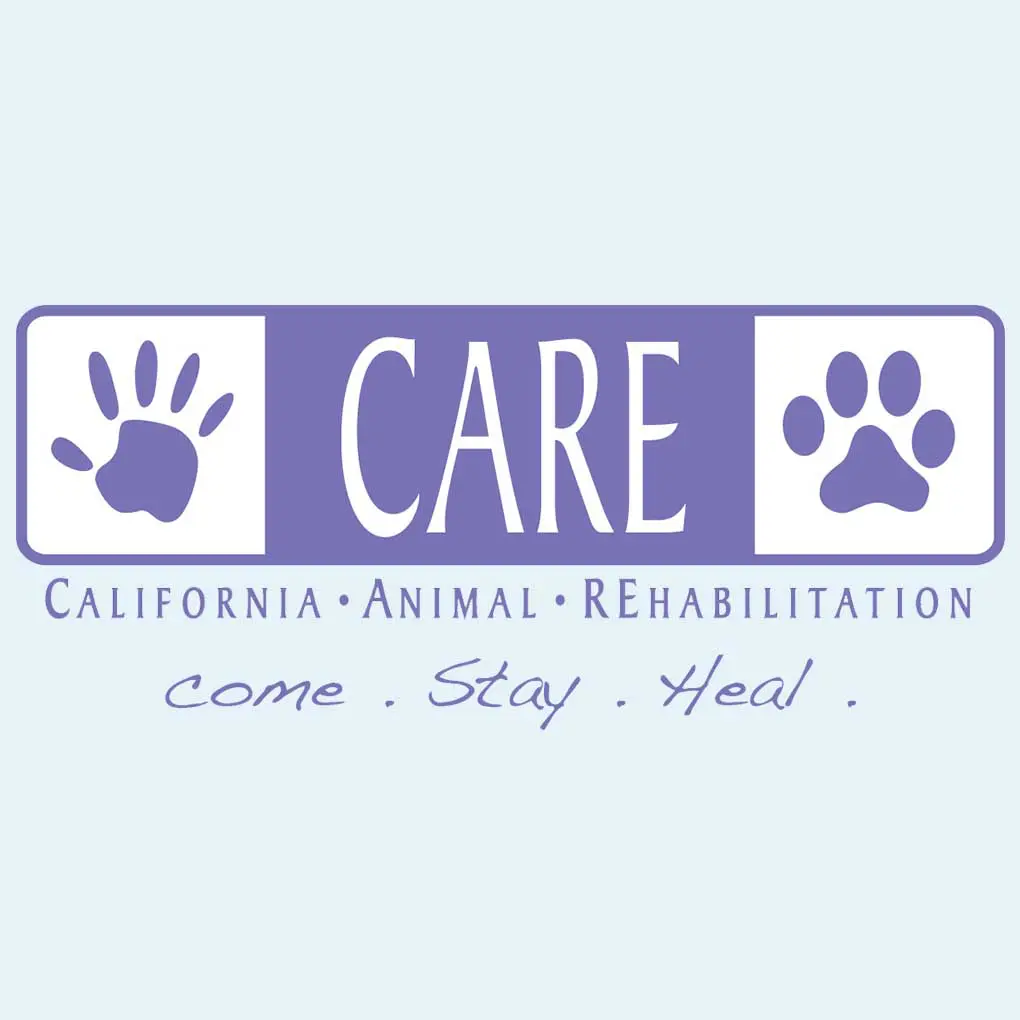 Come, Stay, Heal slogan on logo