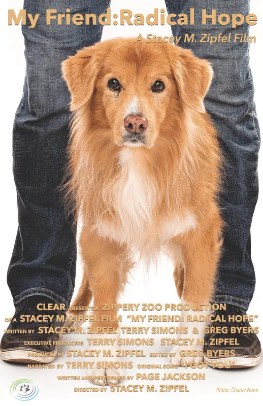 Golden retriever between person's legs