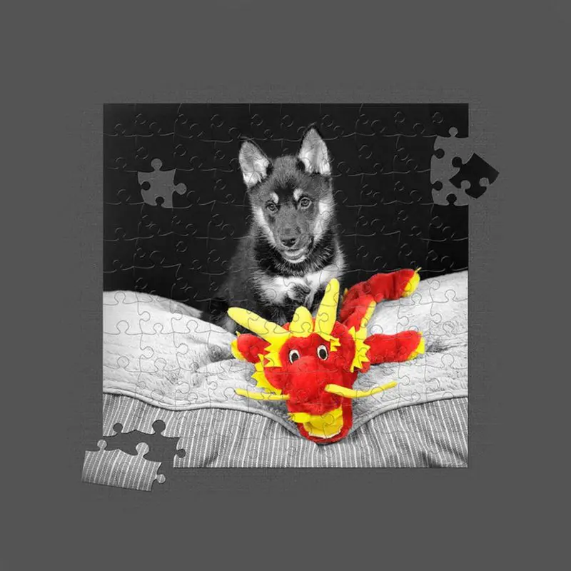 Puppy and toy jigsaw puzzle