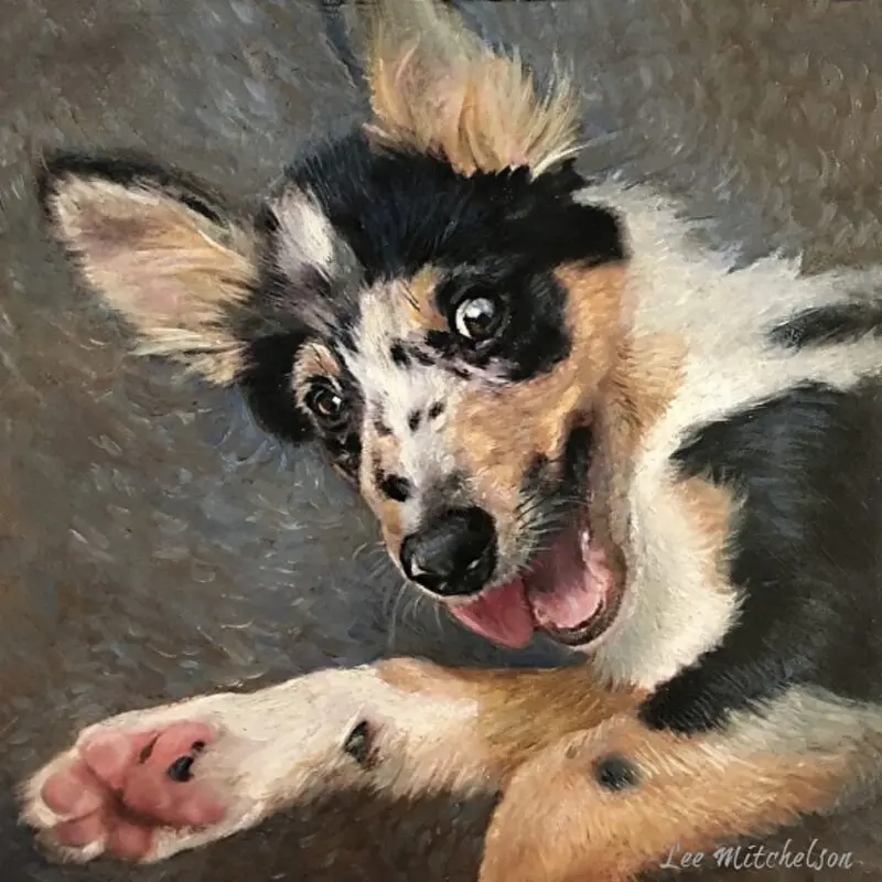 Joyful dog with spotted fur