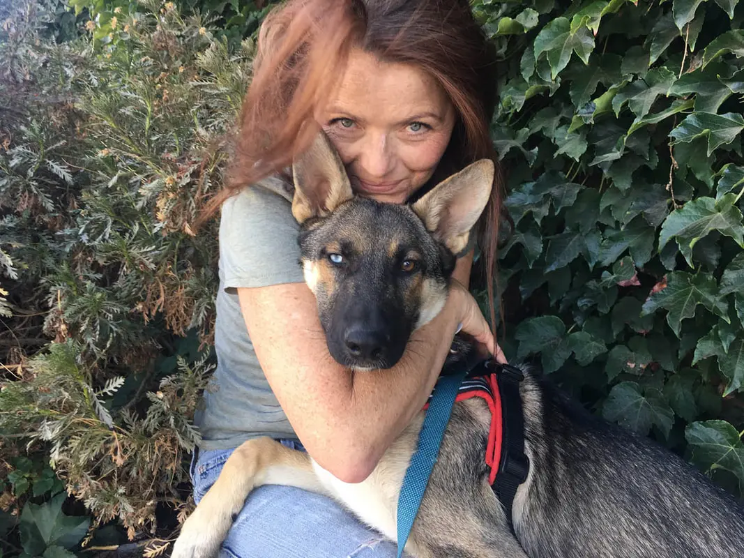 Woman hugging a German Shepherd