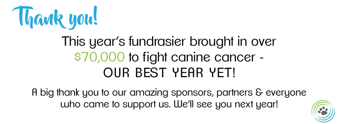 Thank you for supporting canine cancer fundraiser