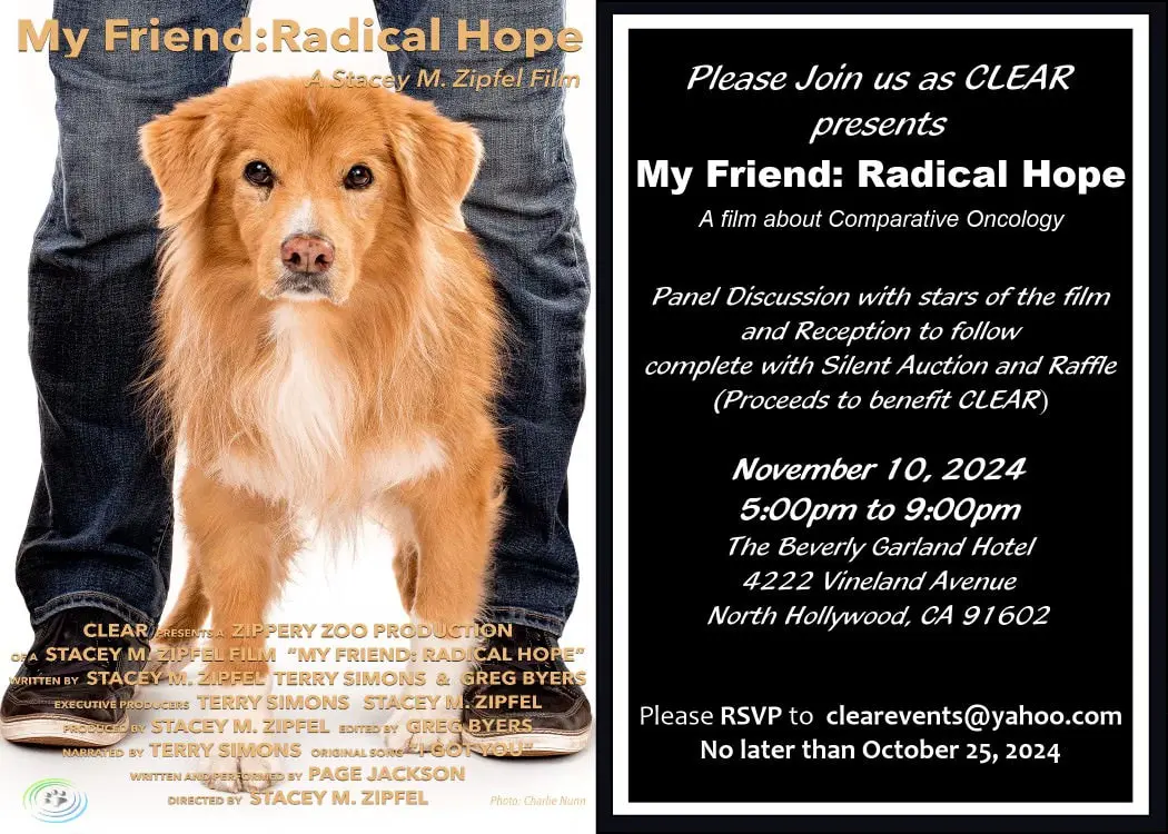 Film event poster with golden dog